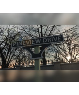Pineview Drive Steam Key EUROPE